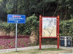 -黄埔油麻山森林公园