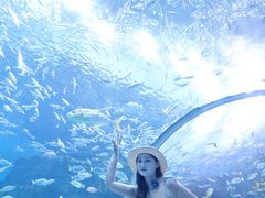 -海合安成都极地海洋公园