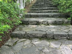 -云碧峰国家森林公园