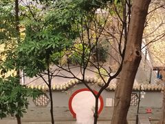-青羊宫