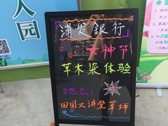-田园东方蜜桃村的田野营地