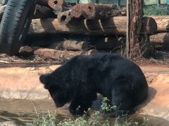 -海南热带野生动植物园