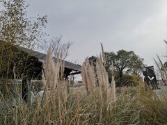 -嘉北郊野公园