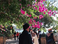 -海韵人家.海景花园经典云南菜(双廊店)