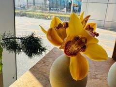 -dotcom coffee古点咖啡(致真大厦店)