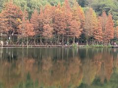 -重庆彩云湖湿地公园