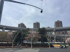 -上海南浦大桥长途旅游客运站