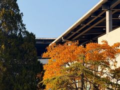 -浙江农林大学(东湖校区)