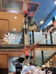 -卡通尼·Safari非洲探索乐园·生日会(金桥国际商业广场店)