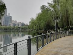-后襄河公园