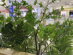 -川知味(京华城店)