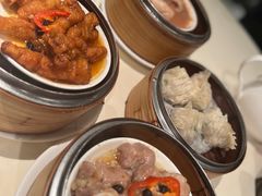 -金燕岛潮州酒楼