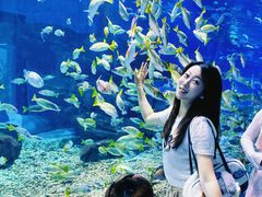 -海合安武汉极地海洋公园