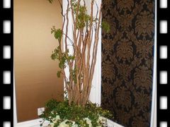 nEO_IMG_PC140014-唐宫海鲜舫