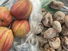 -中国农业博物馆