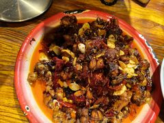 -柴窝堡22号辣子鸡·传承新疆菜