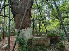 -吴山景区