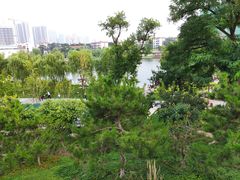 -西海子公园