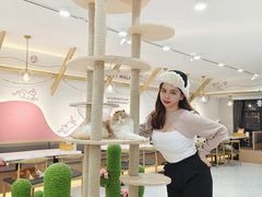 -喵园·猫主题咖啡厅·撸猫·猫咖(国贸店)