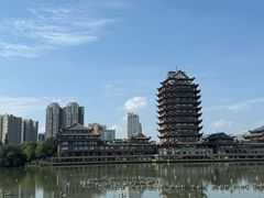 -眉山湿地公园(东坡区)