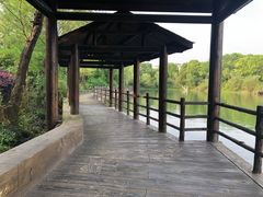 -山湖温泉