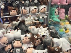-巴克创奇梦工厂