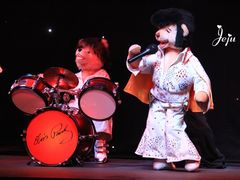 -济州岛泰迪熊博物馆