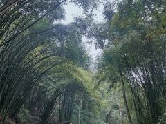 -凤栖山