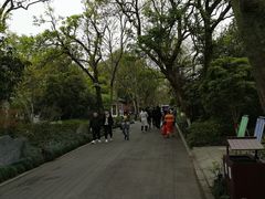 -苏堤停车场