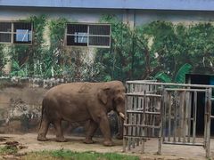 -西安秦岭野生动物园