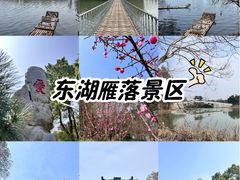 -东湖落雁景区