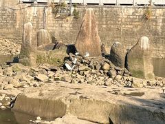 -仓山金山寺
