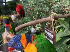 -南宫五洲植物乐园