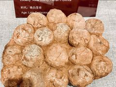 -中国西峡恐龙遗迹园
