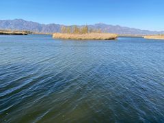 -野鸭湖国家湿地公园