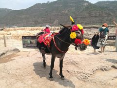 -陕西黄河壶口瀑布旅游区