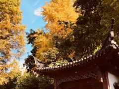 -郑和公园