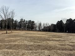 -北京西山国家森林公园