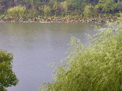 -上海怡沁园度假酒店