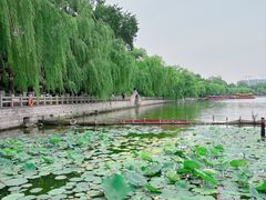 -济南大明湖景区