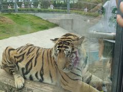 -西霞口神雕山野生动物世界