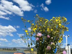 -敕勒川草原文化旅游区