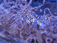 -鼓歌海鲜舫·手抓海鲜(大学城店)