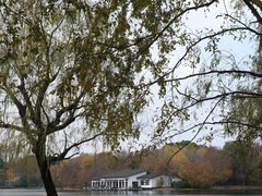 -上海共青森林公园