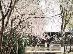 -三里河公园