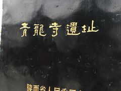 -西安青龙寺遗址景区