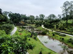 -东莞植物园