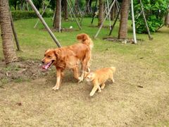 iphone_upload_pic-南翔镇银翔湖公园