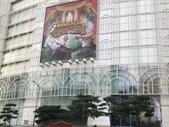 -乐天免税店(明洞店)