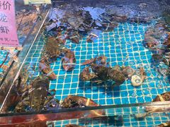 -新金盛·海鲜酒楼(盐田店)